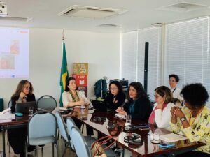 Consulta-Brasil-Ley-Modelo_2